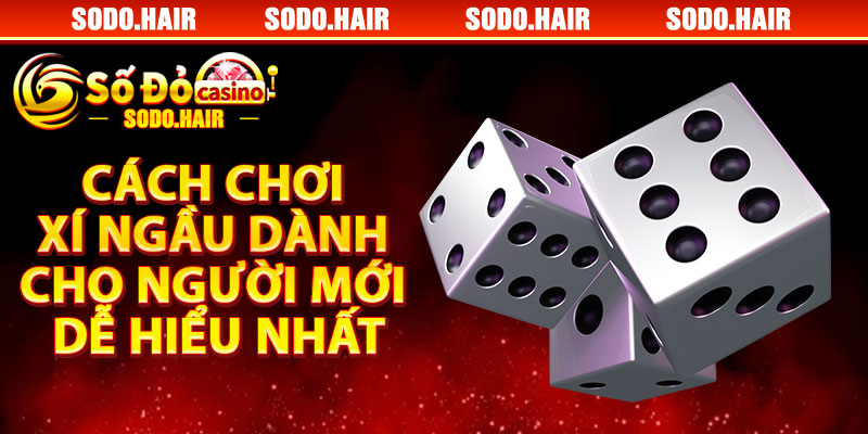 Cách Chơi Xí Ngầu Dành Cho Người Mới Dễ Hiểu Nhất