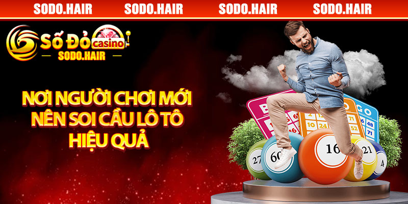 Nơi Người Chơi Mới Nên Soi Cầu Lô Tô Hiệu Quả