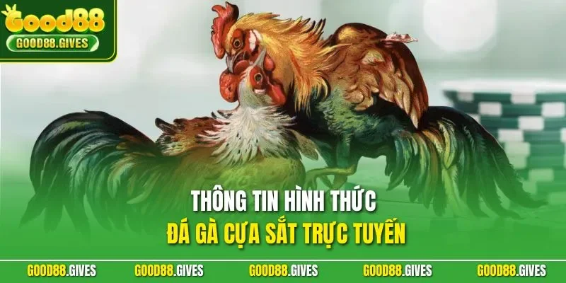 Thông tin hình thức đá gà cựa sắt trực tuyến