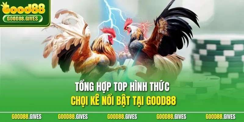 Tổng hợp top hình thức chọi kê nổi bật tại GOOD88